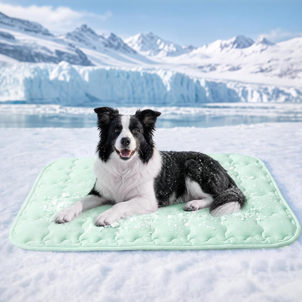 Luciphia Dog Cooling Mat, Q-MAX>0.5 Non-Slip Self-Cooling Pad for Pets | Elastic Support, Joint Protection; Q-MAX>0.5 Instant Cooling Needs No Power; Non-Slip Washable Dog Bed; Light Blue 20X3015