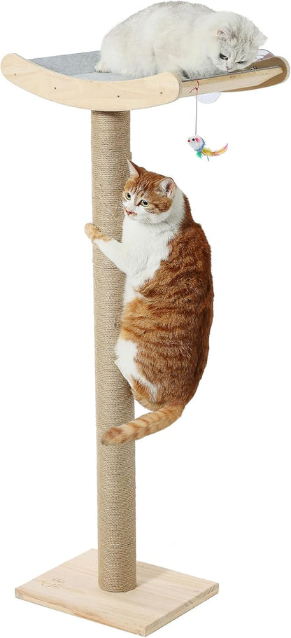 Cat Scratching Post with Large Window Perch, 47-Inch Tall Sisal Cat Tree | Glass Suction-Cup Mounting; for Large Cat & Maine Coons; Thick Square Sisal Post; Ultra-Soft Bolstered Bed; Hold up to 45 Lbs9
