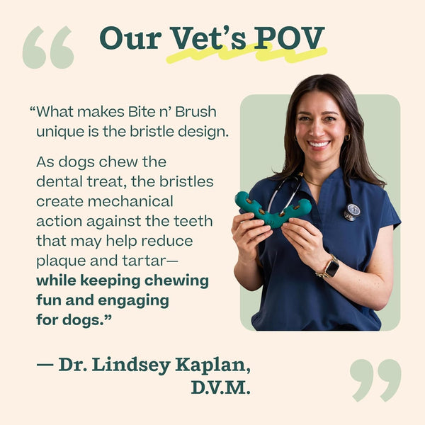 WOOF Bite N' Brush Dog Dental Chew Toy for Small Dogs 10-25 Lbs | Dog Toothbrush Toy, V-Shaped Design, Reusable, Easy to Clean, Dental Dog Toy8