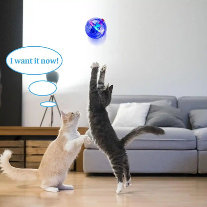 Frienda 4 Pcs Light up Cat Ball LED Motion Ghost Hunting Balls,Clear6