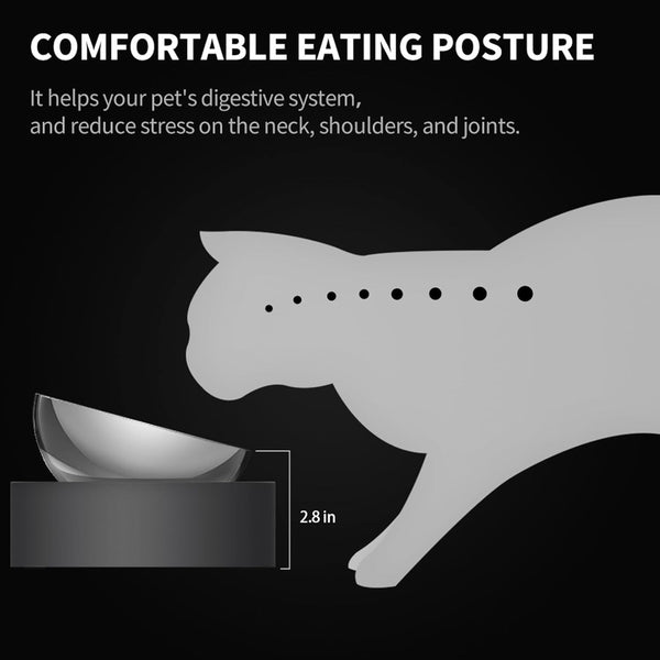 PETKIT 304 Stainless Steel Elevated Cat Bowls&Dog Bowls,Raised Cat Food and Water Bowl Set, Non-Slip, anti Vomiting 15°Tilted Cat Small Animal Plate6