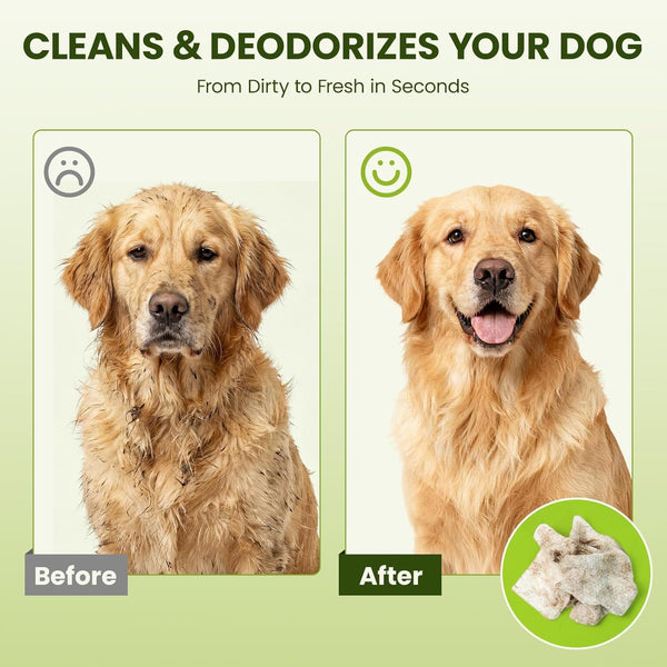 Hypoallergenic Pet Wipes for Dogs, Cats & Small Animals, 400 Coun | Quick Clean & Deodorize Paws, Butt, Eyes, Face & Fur | Daily Grooming Wipes | Extra Large & Thick | Coconut Scented5