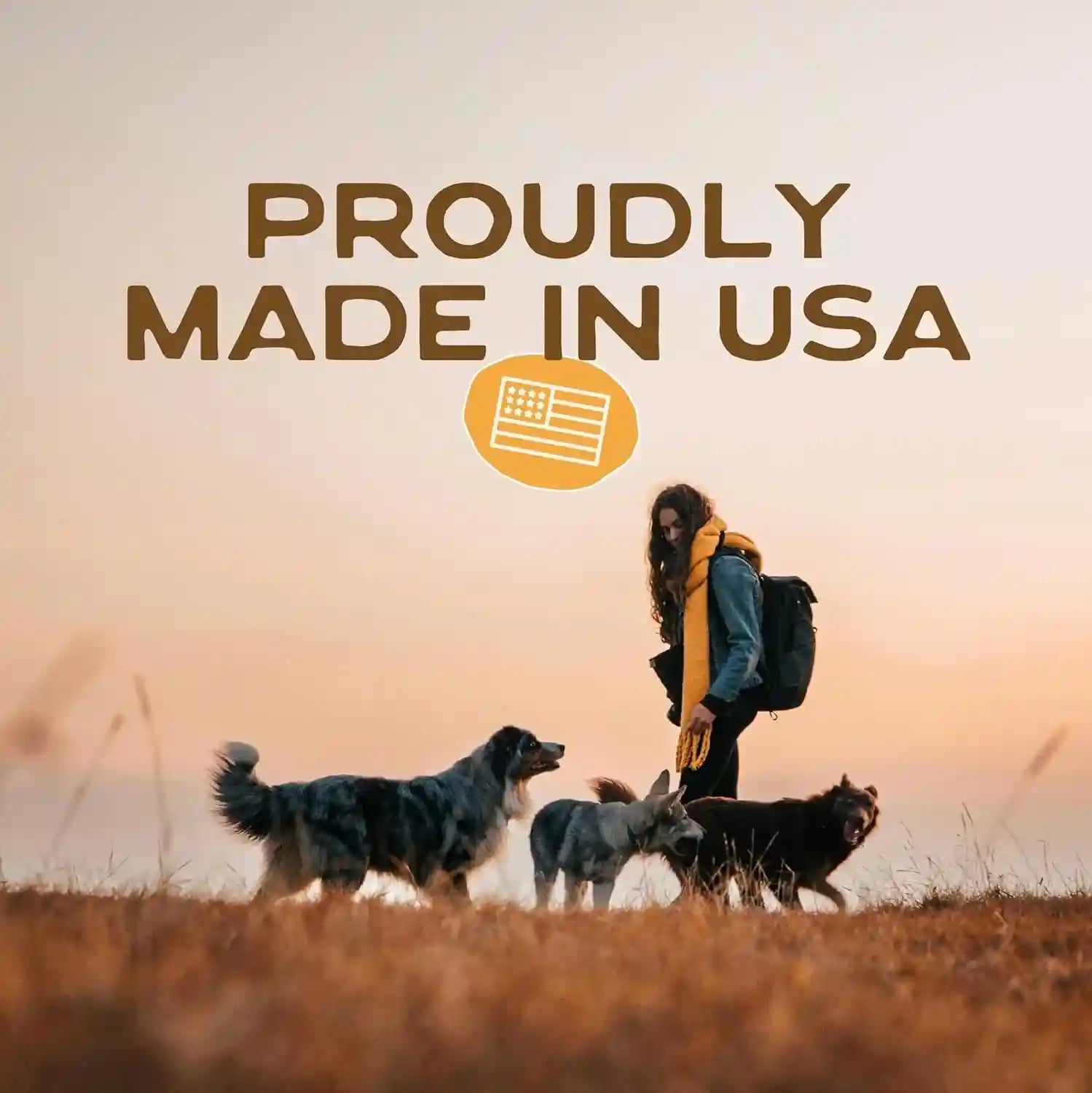 smart-cookie-healthy-soft-dog-treats-rabbit-pumpkin-grain-free-limited-ingredient-training-treats-for-dogs-with-sensitive-stomach-allergies-natural-novel-protein-made-in-the-usa-5oz