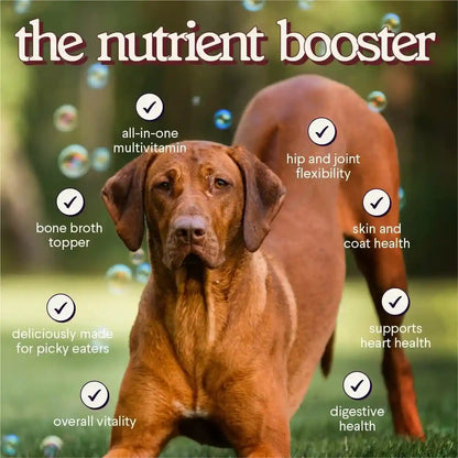 Premium Dog Gravy Food Topper – Dog Food Topper for Dry Food, Wet Food & Picky Eaters – Tasty All-In-One Multivitamin Bone Broth Dog Gravy with Vitamins, Minerals, Omegas, Collagen & Mushrooms – 16Oz4