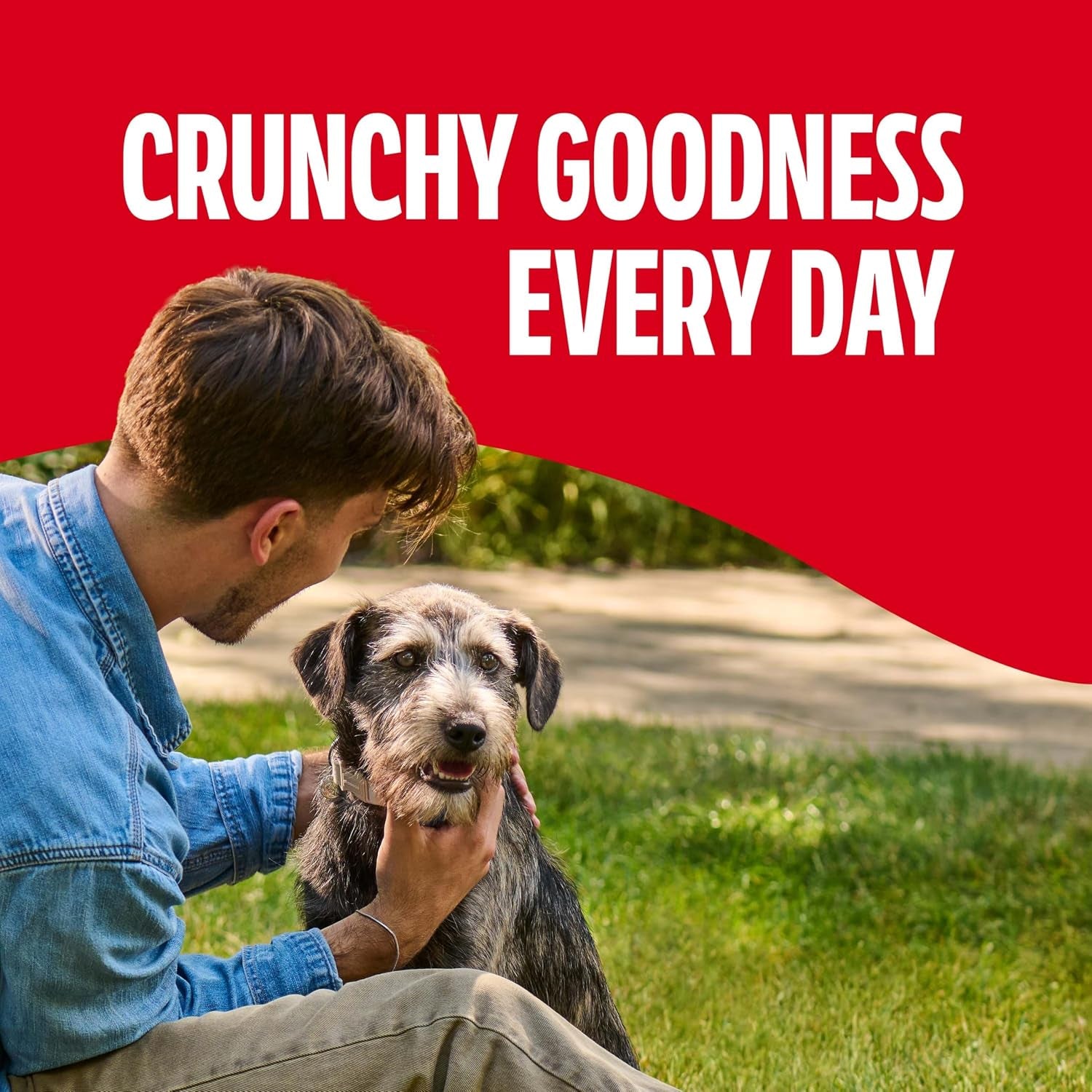 milk-bone-gravybones-dog-biscuits-gravy-coated-small-dog-treats-7-lb-box