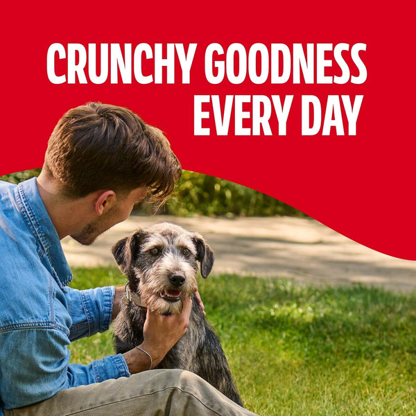Milk-Bone Gravybones Dog Biscuits, Gravy Coated Small Dog Treats, 7 Lb. Box6