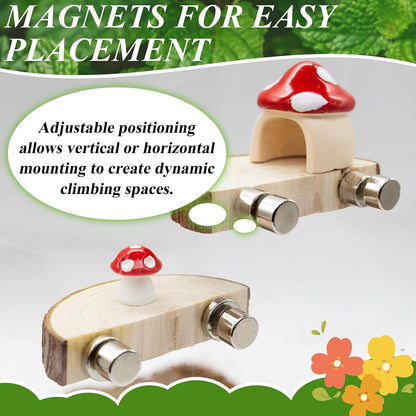 Jumping Spider Habitat Accessories Enclosure Habitat Accessories Jumping Spider Web Climbing and Feeding Platforms with Magnets for Small Insects Critters6