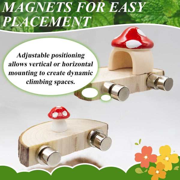 Jumping Spider Habitat Accessories Enclosure Habitat Accessories Jumping Spider Web Climbing and Feeding Platforms with Magnets for Small Insects Critters6