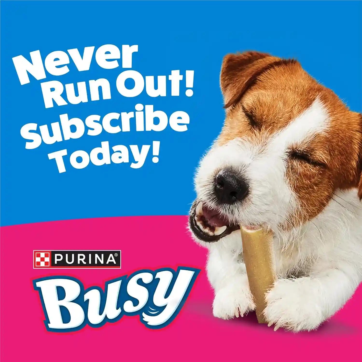 purina-busy-made-in-usa-facilities-small-breed-dog-bones-mini-20-ct-pouch