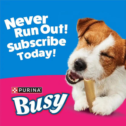 Purina Busy Made in USA Facilities Small Breed Dog Bones, Mini - 20 Ct. Pouch12