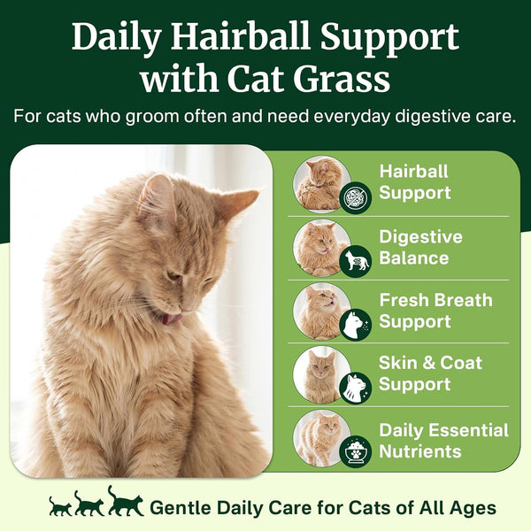 Cat Grass Treats Chews, Cat Treats for Indoor Cats, 500 Hairball Treatment for Cats, Hairball Control, Feline Grass Chews with Fish Oil, Taurine & B Vitamins for Skin & Coat, Digestion & Dental Care3