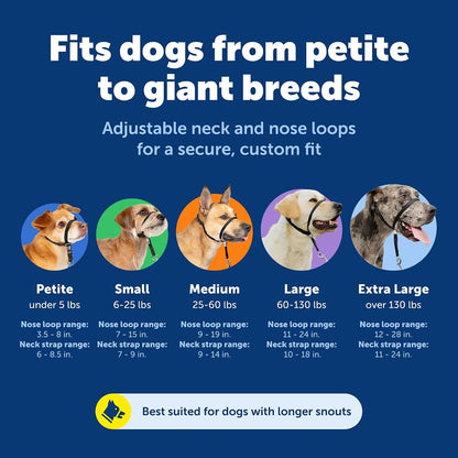Petsafe Gentle Leader No Pull Dog Headcollar, Royal Blue, Medium | Veterinary Behaviorist-Designed No-Pull Headcollar Redirects Pulling Instinct, Padded Neoprene Nose Loop, Quick-Snap Fit5