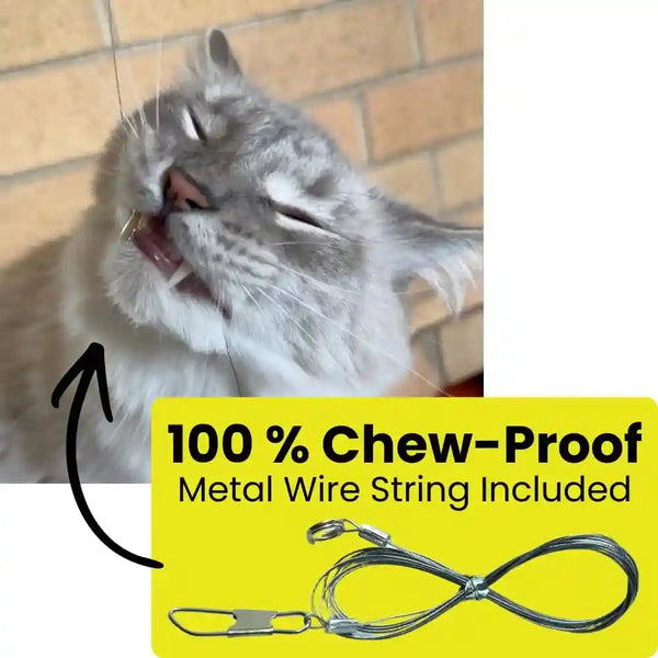 Cat Toy String Replacement 3-Pack - Chew Proof Metal Wire, Cat Wand String Replacement Variety Pack, Official Cat Toy Refill Strings for Forever Stick Cat Toy Wand, Transparent Fishing Line Nylon Cord4