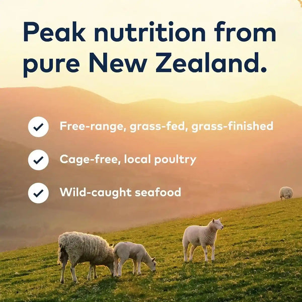 ZIWI Peak Steam & Dried Cat Food – Cage-Free Chicken W/Whole Mackerel - High Protein, Skin & Coat Health, Low Carb, for All Life Stages (28.8Oz)8