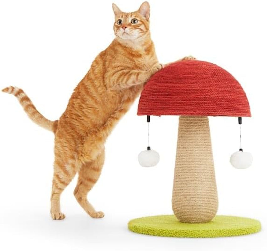 everyyay-by-petco-toadstool-scratch-post-for-cats