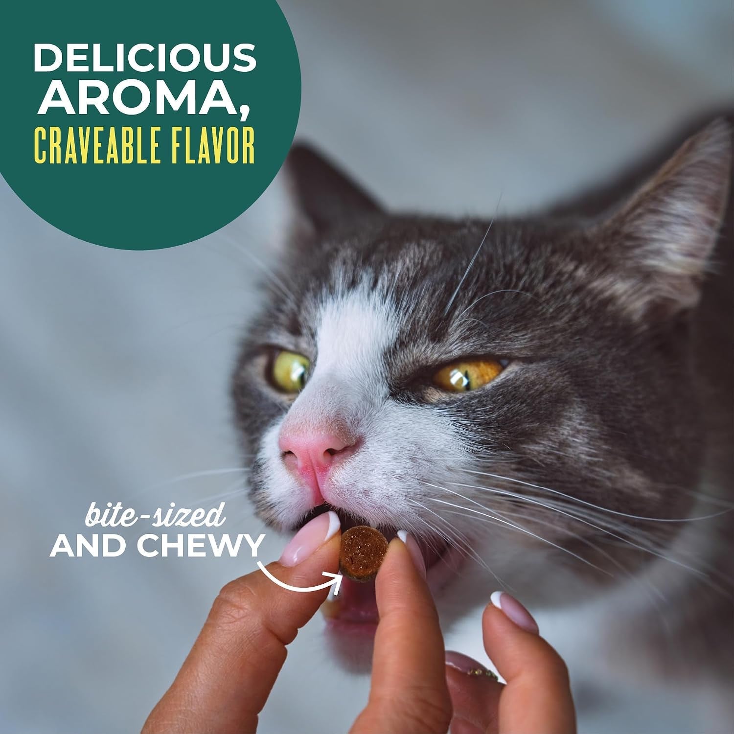 tiki-cat-soft-chewy-treats-tuna-flavor-3-calories-per-treat-with-grain-free-and-no-added-gluten-6-oz-pouch-pack-of-1