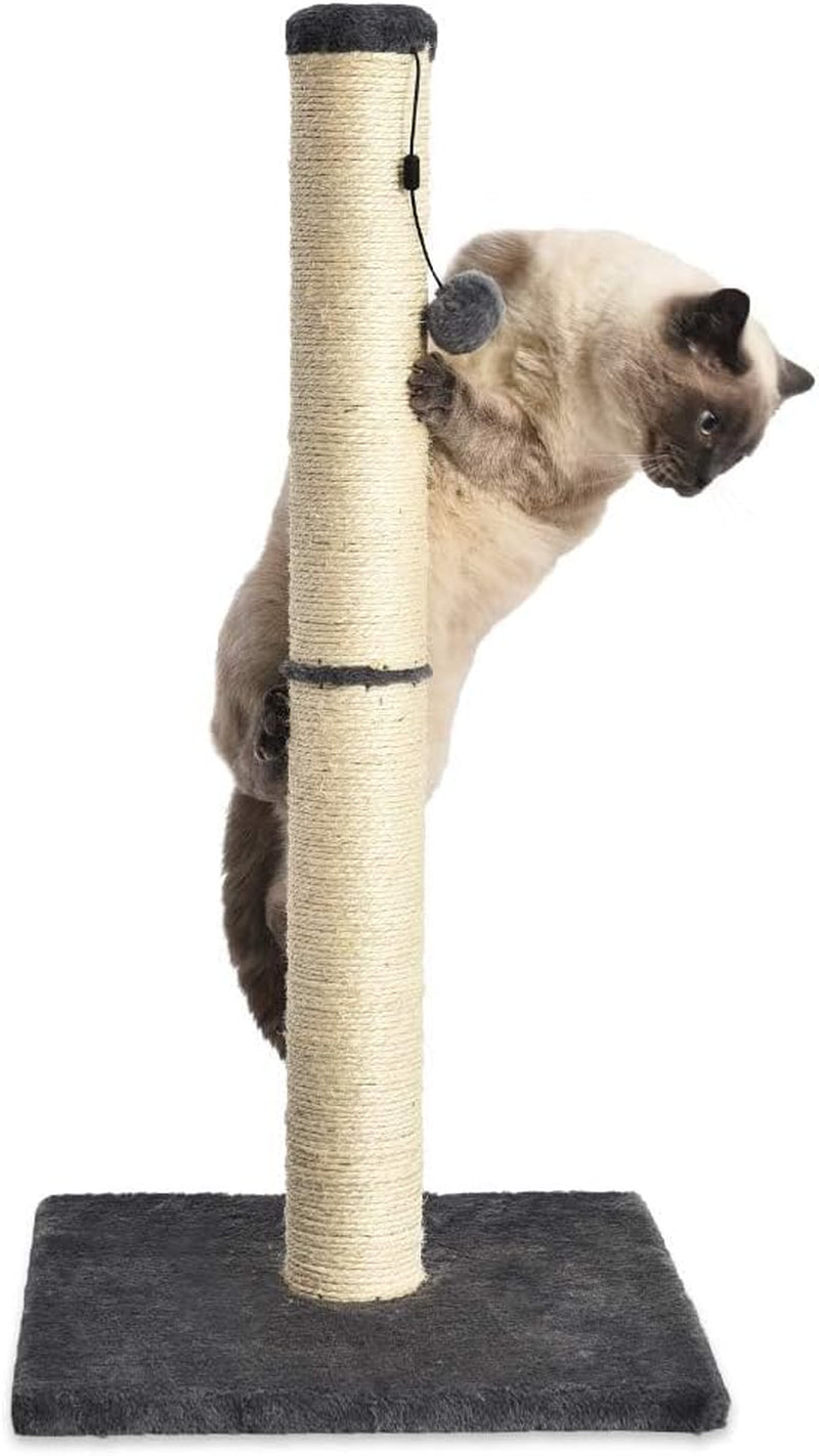 amazon-basics-cat-scratching-post-for-indoor-cats-kittens-medium-31-5h-cat-furniture-with-dangling-ball-toy-grey