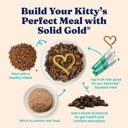 Solid Gold Wet Cat Food Pate for Indoor Cats - Healthy Canned Cat Food Pate W/Real Chicken, Omega Fatty Acids, Vitamins & Minerals - Grain Free & Gluten Free Can Meals for Cats & Kittens - 24Ct/3Oz8