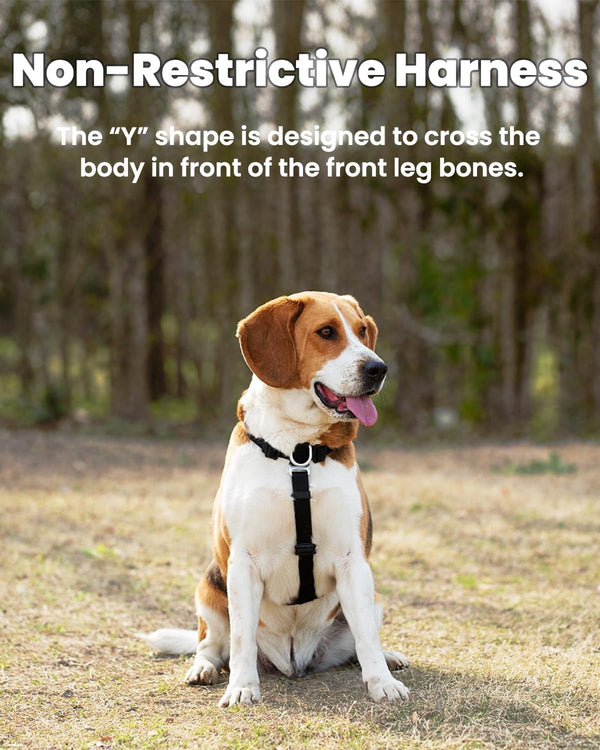 No Pull Dog Harness, Small, Purple/Black | Non Restrictive, Neck Buckle Design, Six Points Adjustment, Lightweight Easy Walk, Small Dogs Chest(17-23Inches)3