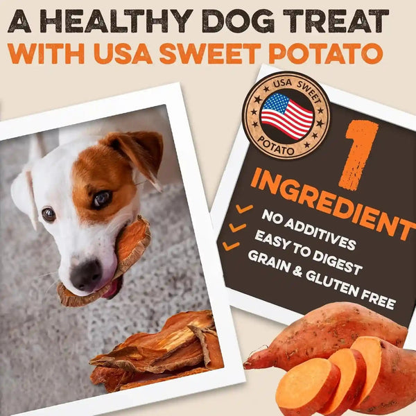 BRUTUS & BARNABY Sweet Potato Dog Treats – Support Sensitive Stomachs with Usa-Grown, Hypoallergenic Treats That Smell as Good as They Taste4