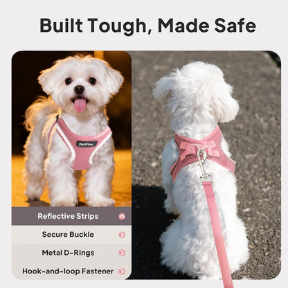 Small Dog Harness and Leash Set Breathable Step-In Puppy Cat Harness,Xs | Reflective for Safe Easy Walking,Soft Light Puppy Vest,Escape Proof,No Pull Harness for Dogs,All Weather Air Mesh Harness4