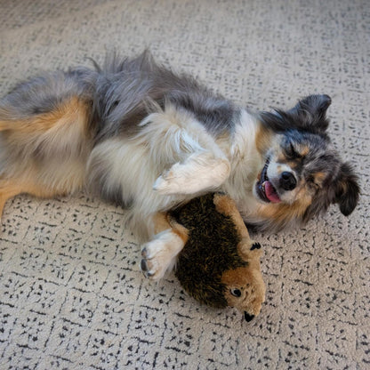 Outward Hound Hedgehogz Stuffed Dog Toy – Soft Plush Hedgehog, Grunts & Squeaks, Medium, 9" X 5" X 6.5"5