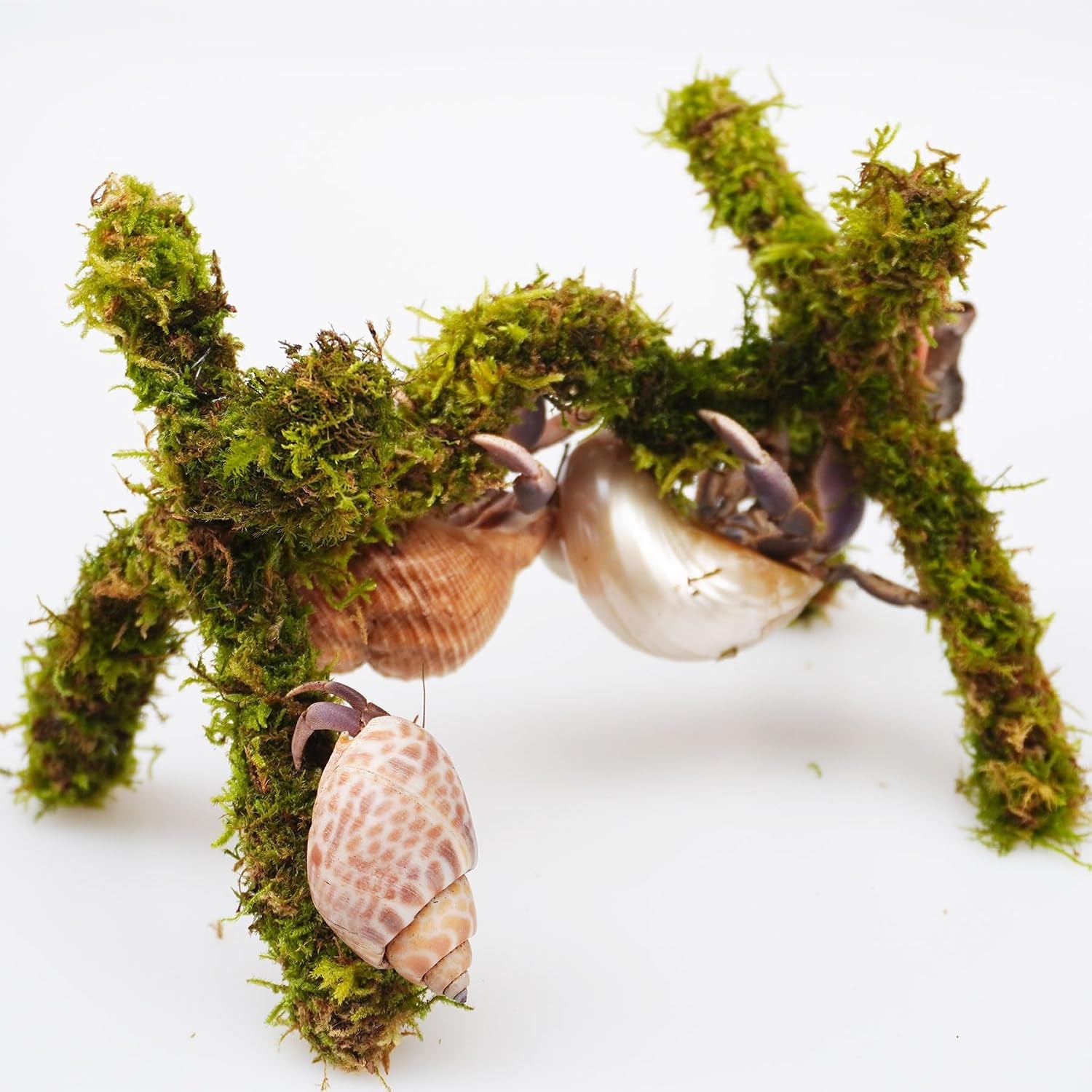 hermit-crab-accessories-adjustable-hermit-crab-climbing-toys-6-inch