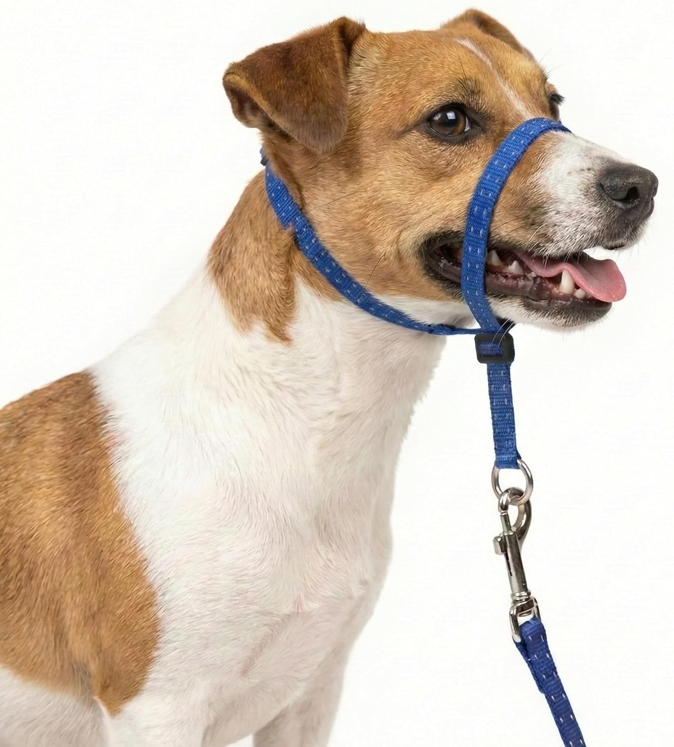 headcollar-for-dogs-extra-soft-padded-reflective-no-pull-dog-collar-gentle-leader-for-dogs-with-durable-nylon-leash-padded-handle-navy-blue-large