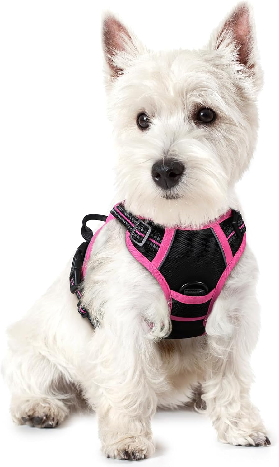 rabbitgoo-dog-harness-no-pull-for-large-dogs-with-2-leash-clips-pet-vest-no-choke-with-handle-adjustable-soft-padded-reflective-easy-control-for-walking-black-large