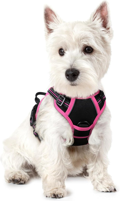 Rabbitgoo Dog Harness, No Pull for Large Dogs with 2 Leash Clips, Pet Vest | No Choke with Handle, Adjustable Soft Padded, Reflective, Easy Control for Walking, Black, Large60