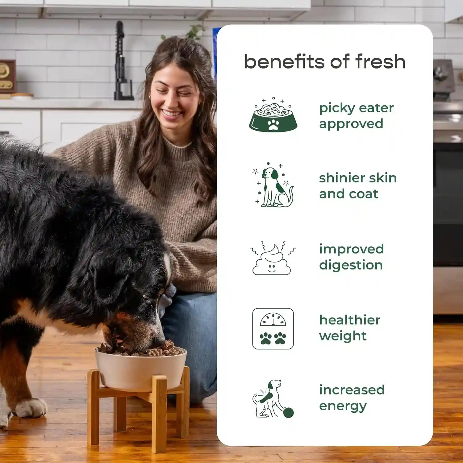 freshpet-healthy-natural-large-dogs-breeds-dog-food-fresh-multi-protein-recipe-5lb