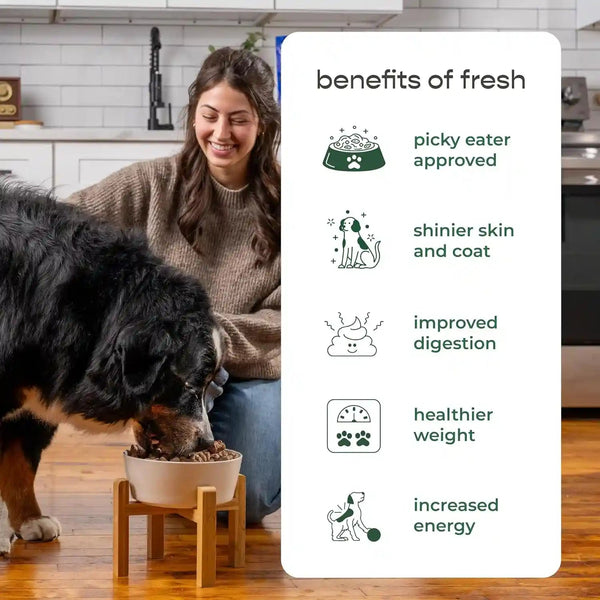 Freshpet Healthy & Natural Large Dogs/Breeds Dog Food, Fresh Multi Protein Recipe, 5Lb7