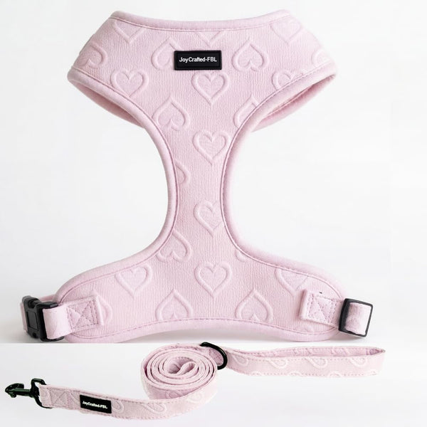 No Pull Harness & Leash Set for Small Sized Dogs, Soft Padded Breathable Neoprene Harnesses, Lightweight Adjustable Step-In Vest with Cute Heart Print & Secure Back D-Ring, Neck 13-17", Chest 16-21"1