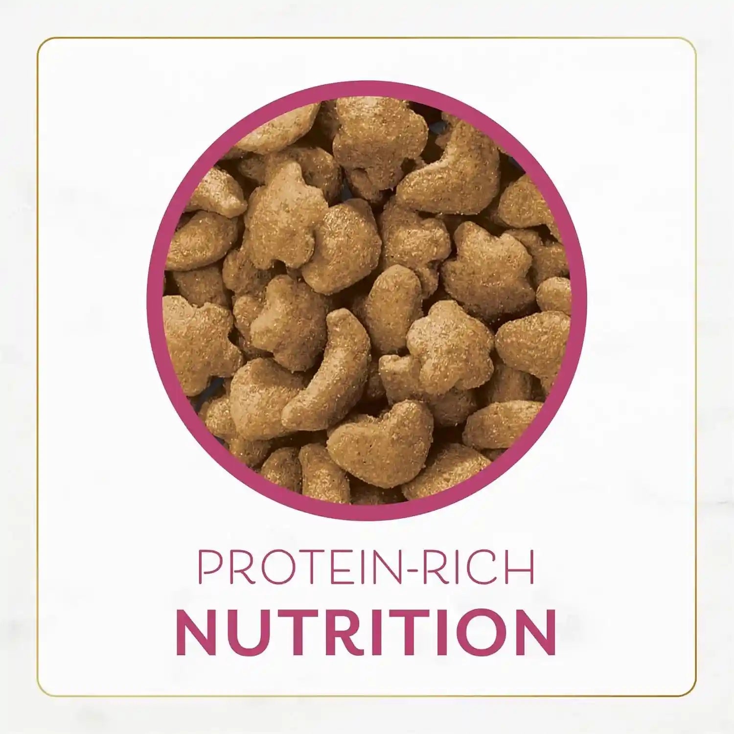 purina-fancy-feast-dry-cat-food-filet-mignon-flavor-with-seafood-and-shrimp-3-lb-bag
