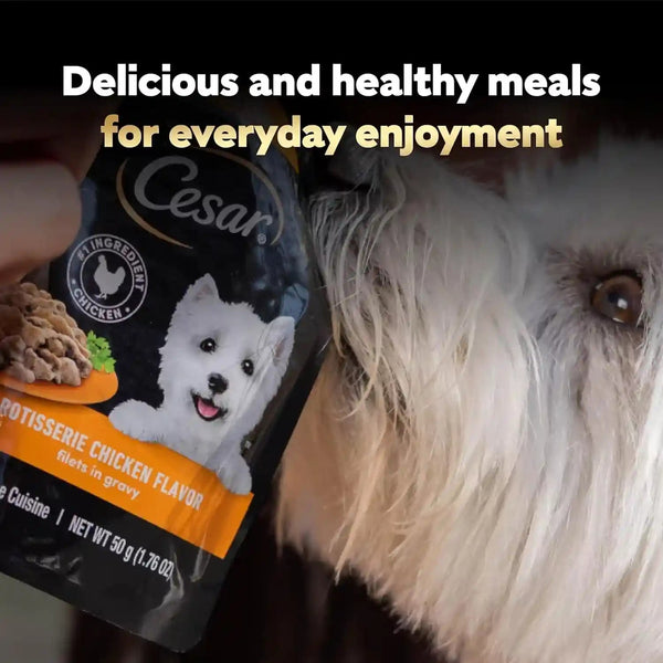 Cesar Mini-Pouch Wet Dog Food, Filet Variety Pack, 1.76 Oz, 40 Count | 3 Flavors: Rotisserie Chicken, Filet Mignon, Wood-Grilled Chicken, Real Chicken or Beef, Easy Peel-And-Serve, Protein-Packed9