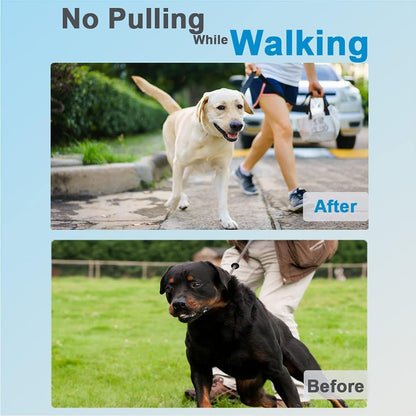 Prong Collar for Dogs, Dog Training Collar for Small Medium Large Dogs | Dog Pinch Collar, Adjustable Size, No Pull, Quick Release Buckle, Hook 360° Swivel, High Quality, Extra Link and Rubber Cap2