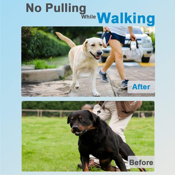 Prong Collar for Dogs, Dog Training Collar for Small Medium Large Dogs | Dog Pinch Collar, Adjustable Size, No Pull, Quick Release Buckle, Hook 360° Swivel, High Quality, Extra Link and Rubber Cap2