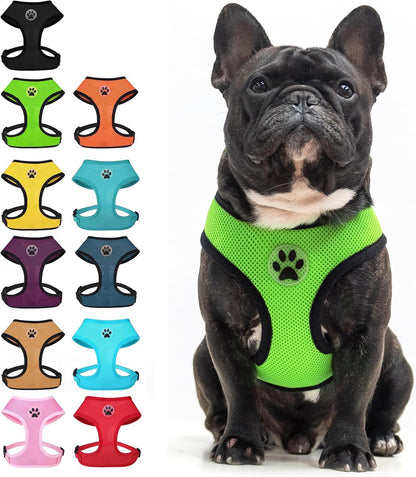 BINGPET Small Dog Harness, No Pull Dog Harness Small Sized Dogs, Soft Light Breathable Mesh Puppy Vest with Safety Buckle-Adjustable Step in Pet Harnesses for Easy Walking, Running, Training24