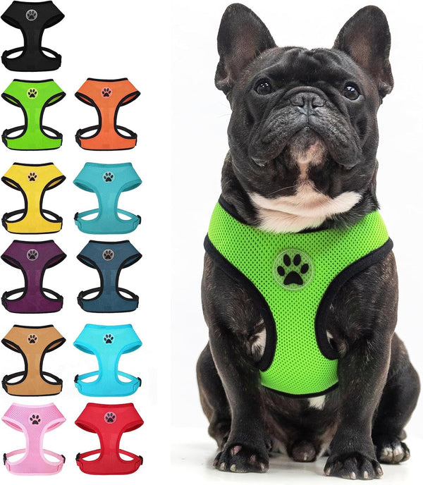 BINGPET Small Dog Harness, No Pull Dog Harness Small Sized Dogs, Soft Light Breathable Mesh Puppy Vest with Safety Buckle-Adjustable Step in Pet Harnesses for Easy Walking, Running, Training24