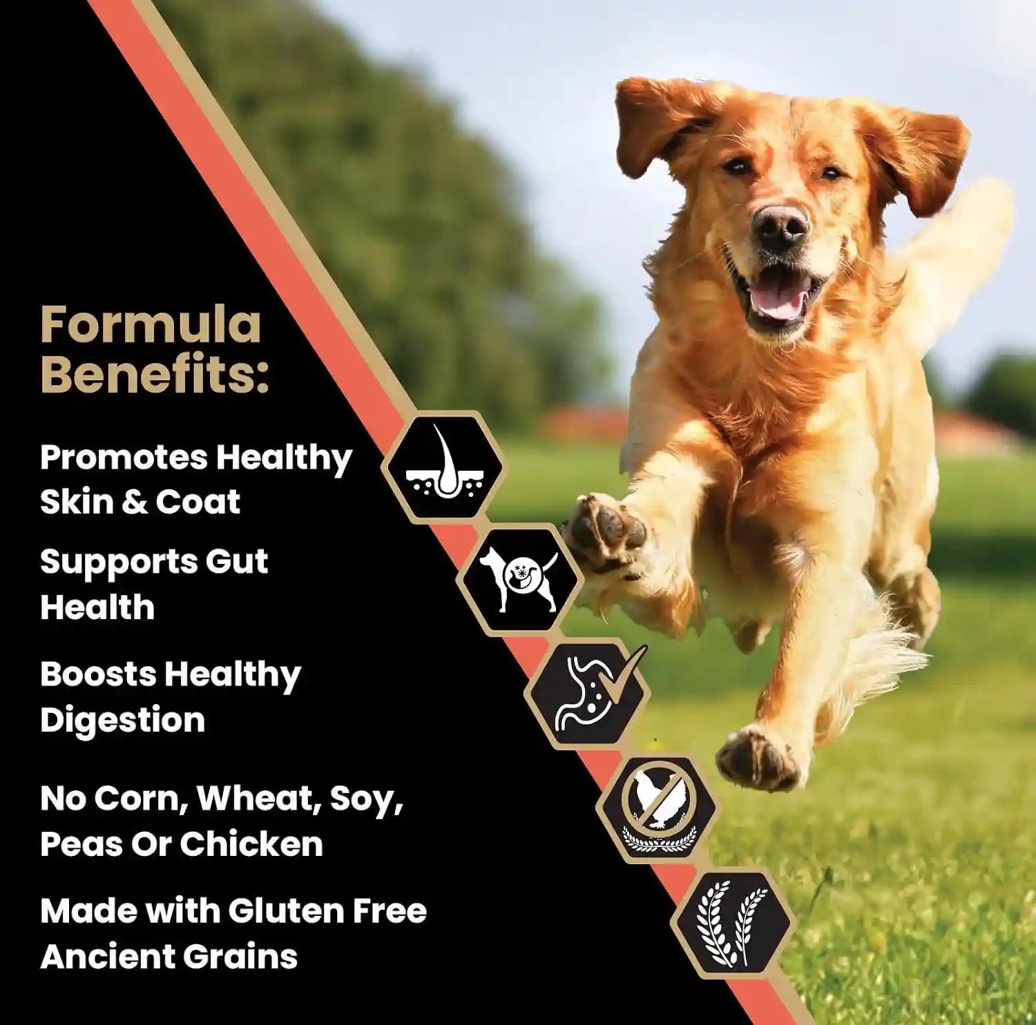victor-super-premium-dog-food-sensitive-skin-and-stomach-salmon-meal-brown-rice-recipe-dry-kibble-gluten-free-no-chicken-ideal-for-dogs-with-allergies-adult-and-puppy-food-5-lb