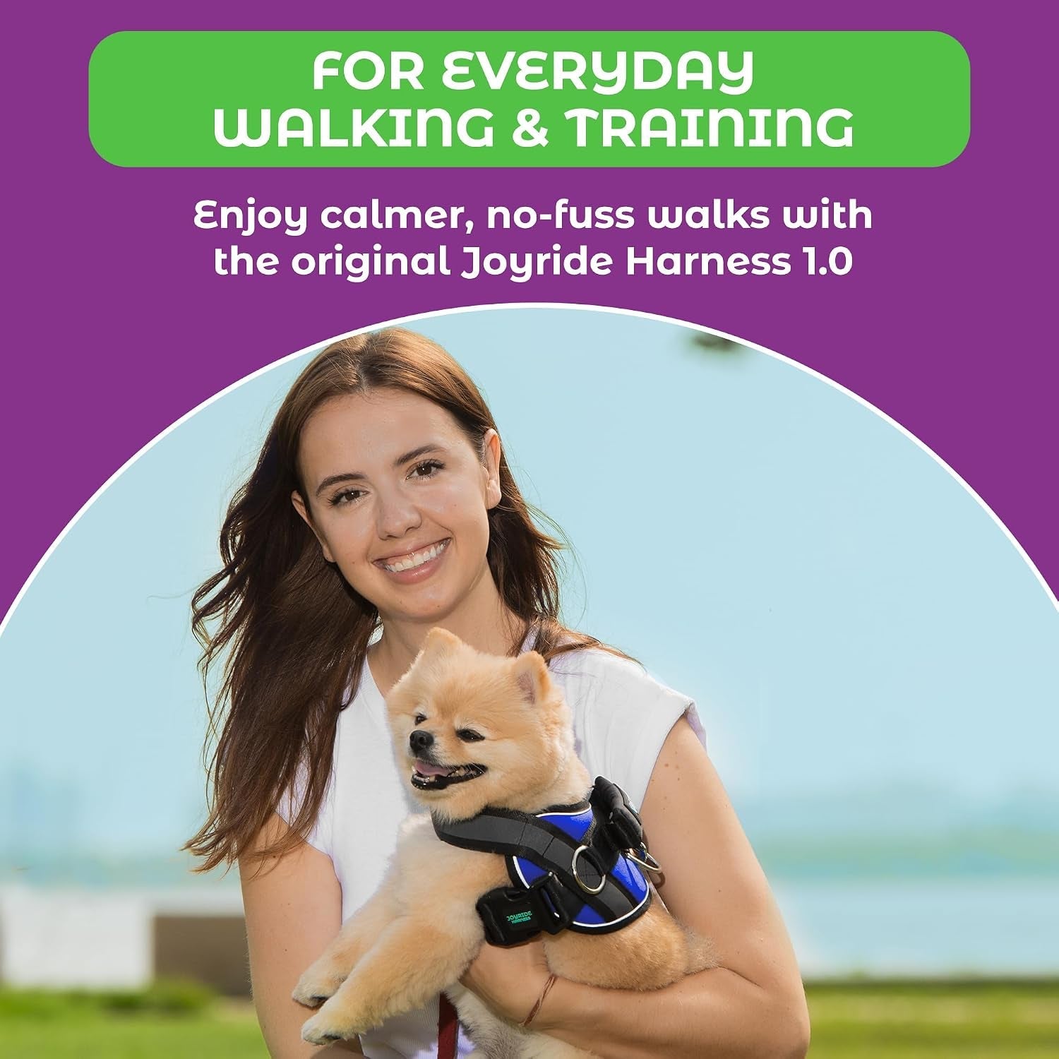 joyride-basic-dog-harness-1-0-blue-serenity-m-adjustable-pet-vest-with-3-side-leash-rings-for-training-walking-and-improved-control-for-small-medium-or-large-dogs