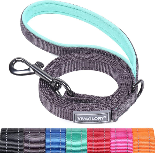 VIVAGLORY Dog Leash Puppy Leash for Collar, 3Ft X 1In, Black | with Soft Padded Handle for Training & Walking, Heavy Duty & Double Layer Nylon Pet Puppy29