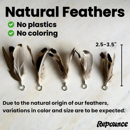 Cat Feather Toy Refill 3-Pack - Natural Feather Cat Toy - Small Size Cat Wand Attachments - Official Cat Toy Feather Replacement for Forever Stick Cat Wand Toy - Cat Wand Refill - Cat Lure and Teaser2