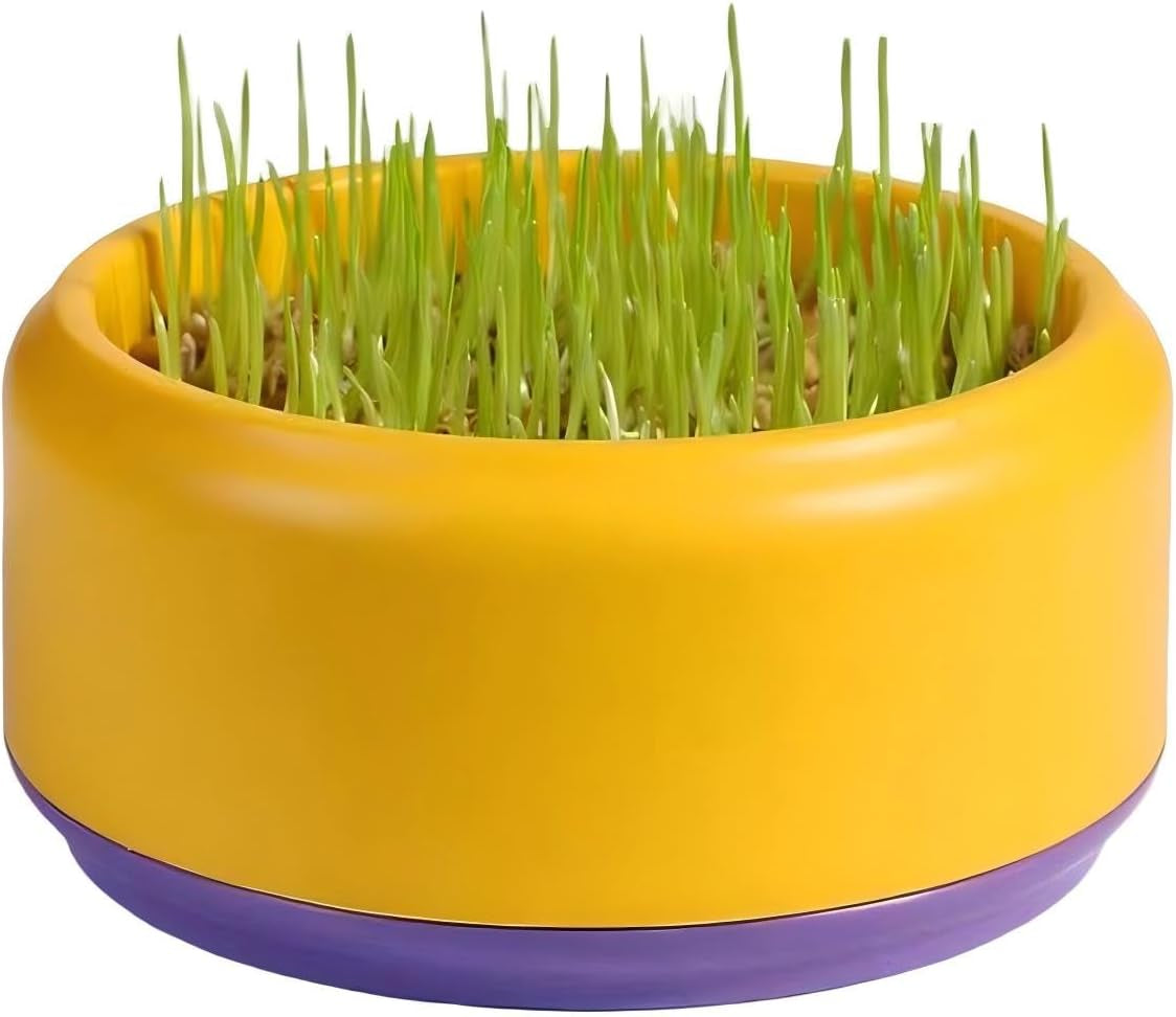 komorebi-cat-specific-reusable-hydroponic-herb-growing-box-set-easy-to-use-3-colour-seeds-not-included-green