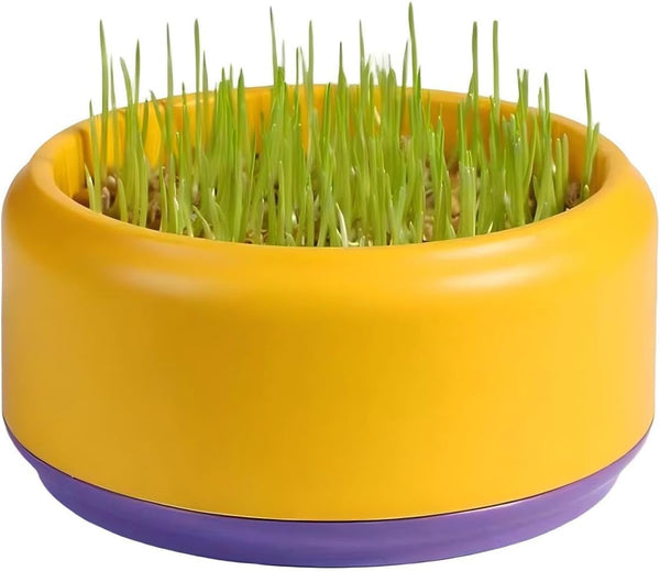 Komorebi Cat-Specific Reusable Hydroponic Herb Growing Box Set-Easy to Use-3 Colour (Seeds Not Included) (Green)9