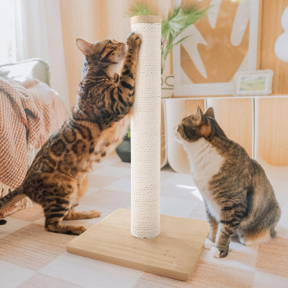 Necoichi 23.6” Tall Cat Scratching Post Kitten Scratcher Paper Rope Scratch Posts Trees with Hanging for Indoor Cats (23.6 Inches for Kitty, Regular, Oak)1