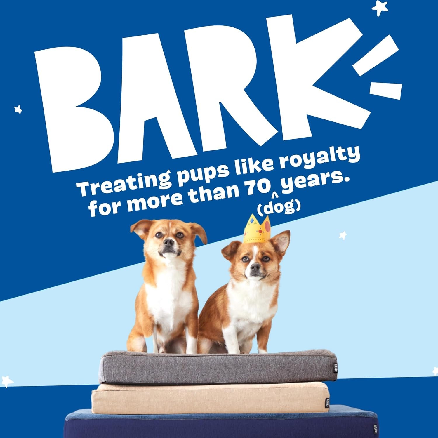 barkbox-orthopedic-dog-bed-large-with-memory-foam-comfortable-durable-machine-washable-pet-bed-grey
