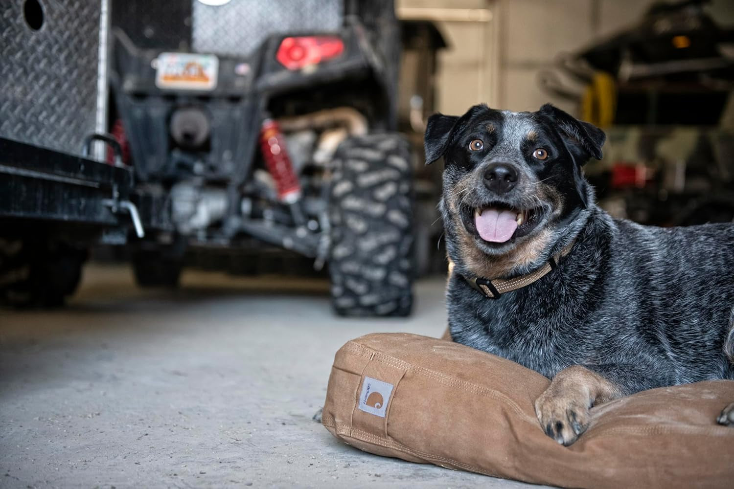 carhartt-durable-canvas-pet-bed-water-resistant-firm-duck-dog-bed-carhartt-brown-large