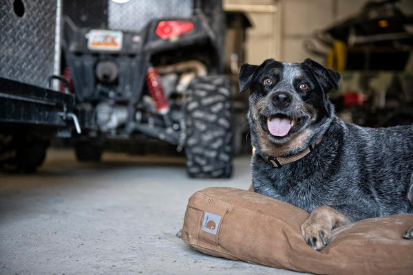 Carhartt Durable Canvas Pet Bed, Water Resistant Firm Duck Dog Bed, Carhartt Brown, Large6