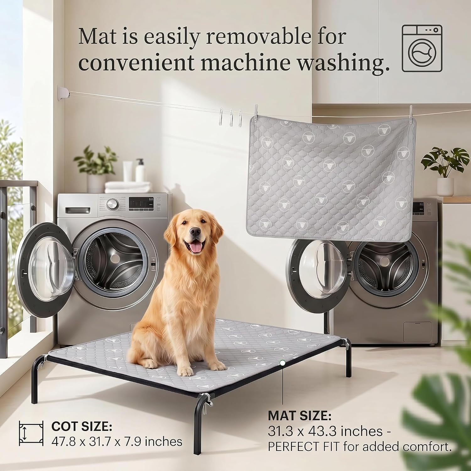 pjyucien-raised-dog-bed-with-pad-48-gray
